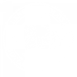 LogoKarateDo-VT-WHITE-400